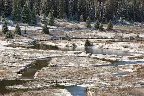 Snow Scene