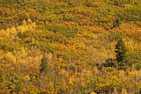 Fall Colors and a River