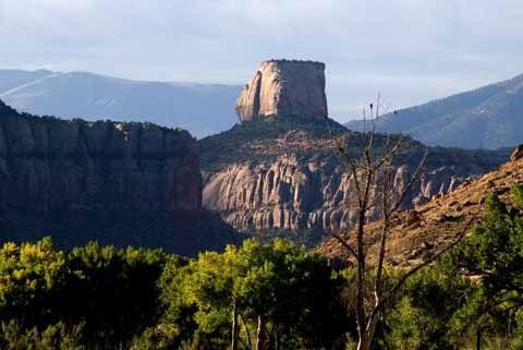 The Road to Canyon Lands